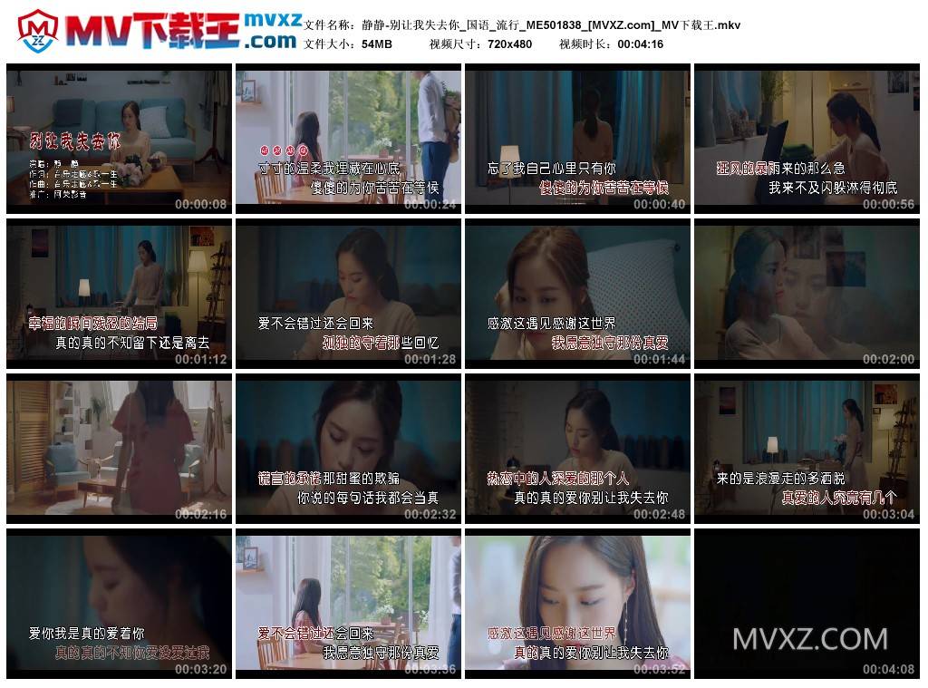 静静-别让我失去你_国语_流行_ME501838